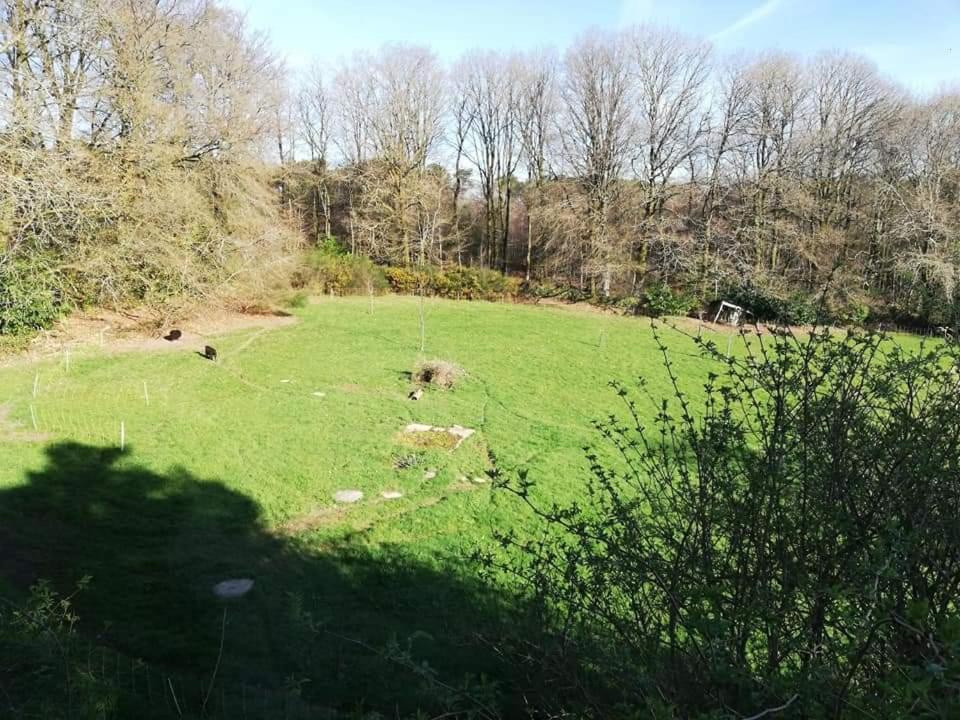 Manoir Du Tertre Au Coeur De La Foret De Broceliande Hotel Paimpont Bagian luar foto