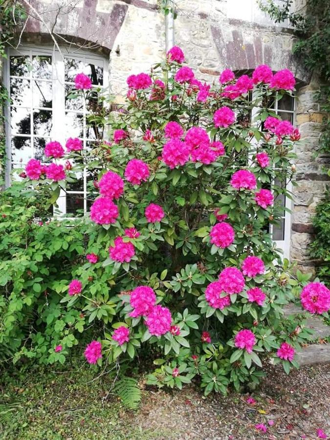 Manoir Du Tertre Au Coeur De La Foret De Broceliande Hotel Paimpont Bagian luar foto