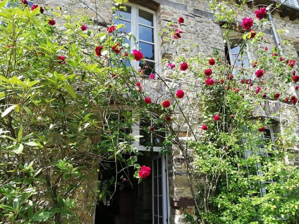 Manoir Du Tertre Au Coeur De La Foret De Broceliande Hotel Paimpont Bagian luar foto