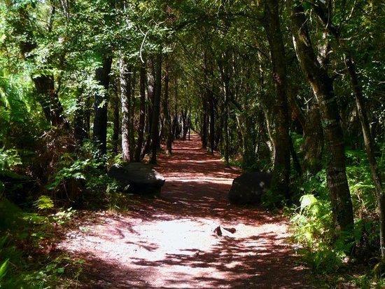 Manoir Du Tertre Au Coeur De La Foret De Broceliande Hotel Paimpont Bagian luar foto